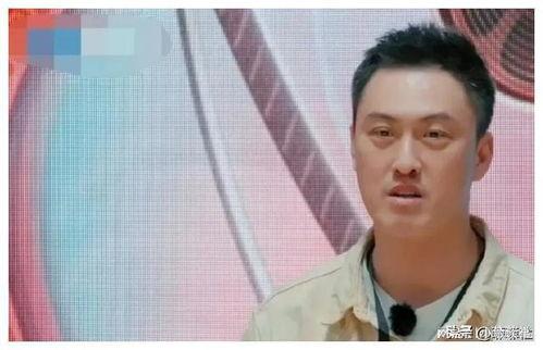 娱乐圈吃瓜爆料两位叫兽,揭秘幕后恩怨与精彩瞬间